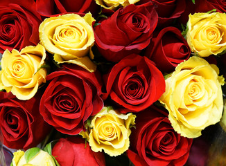 close up on colorful rose in a bouquet