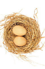 Eggs on a white background