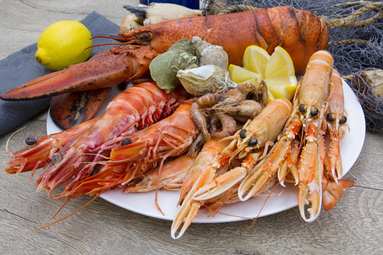 plateau de fruits de mer