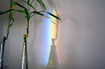Bamboo chutes with colourful rainbow refraction on wall