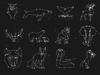 Collection of animals constellation on dark sky. Wild animals with line and stars, horoscope style. Constellation animals for cards, elephant, owl, wolf and other animal © kirasolly