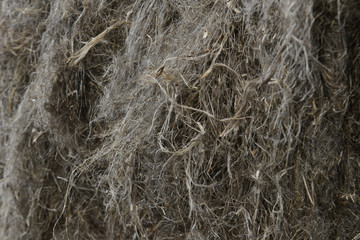 chanvre culture bio agriculture fibre huile paille produits derives plantation feuille graines grains tiges