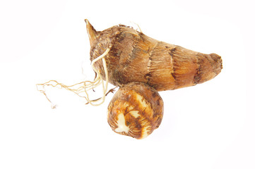 Taro on a white background