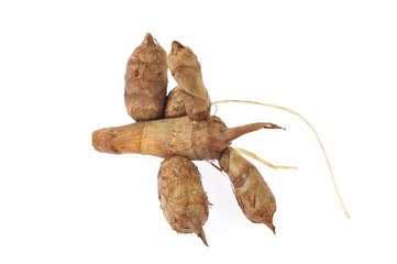 Taro on a white background