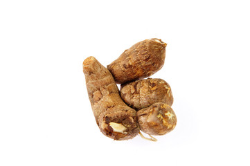 Taro on a white background