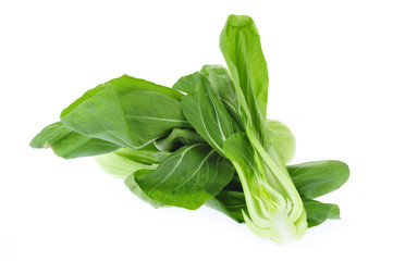Chinese cabbage on a white background