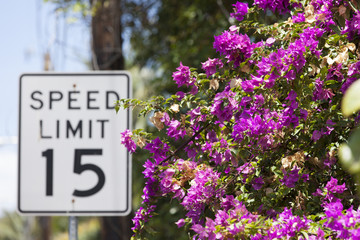 ハワイ　ワイマナロ