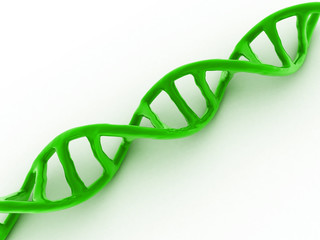 3d rendered dna in white background