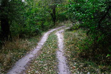 Obraz premium Old rural road in summertime.