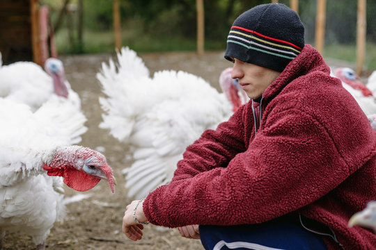 A young and turkeys on the farm.
