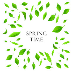 Spting composition. Frame made of green  leaves  on white background from top view, copy space