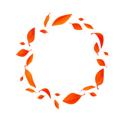 Autumn composition. Frame made of autumn leaves  on white background from top view, copy space