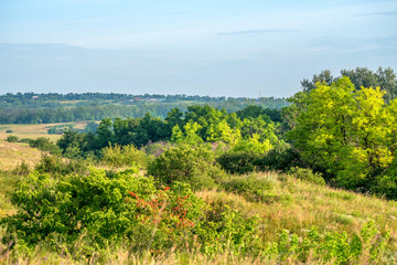 Fototapeta na wymiar Beautiful rural summer landscape with trees