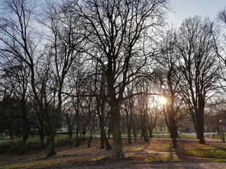 Park © michalsen