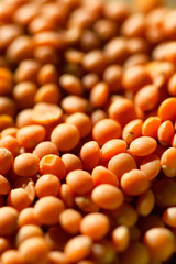 rote Linsen, bildfüllend