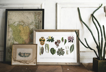 Picture go hand drawing flowers collection in a frame - obrazy, fototapety, plakaty