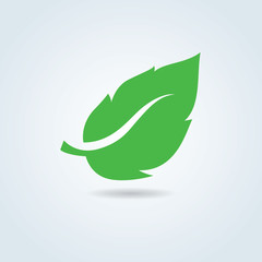 Leaf icon