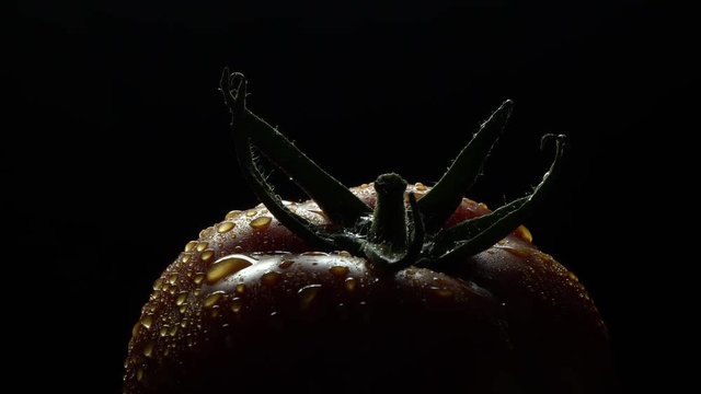 Red tomato close up on black background in rotation with backlight