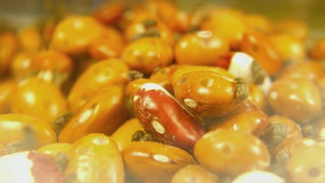 Yellow Brown gram bean infected by Acanthoscelides obtectus little bugs beetles