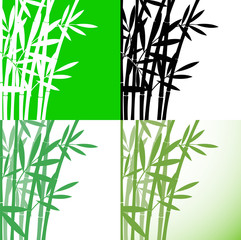 Bamboo (Bambus) set background, stock vector illustration