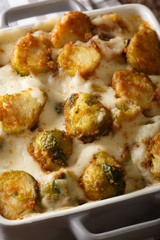 Casserole from Brussels sprouts with garlic and cheese sauce close-up. vertical