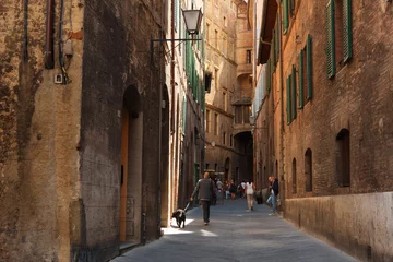 Zelfklevend Fotobehang Beautiful medieval narrow street in the spring, Siena, Italy. Historic centre of Siena has been declared by UNESCO a World Heritage Site. © djevelekova