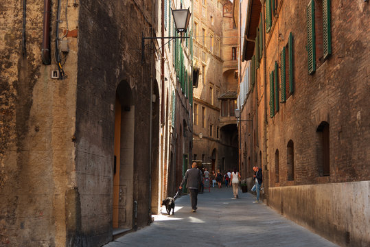 Fototapeta Beautiful medieval narrow street in the spring, Siena, Italy. Historic centre of Siena has been declared by UNESCO a World Heritage Site.