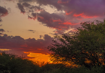 Sunset, Khama Rhino Sanctuary, Serowe, Botswana