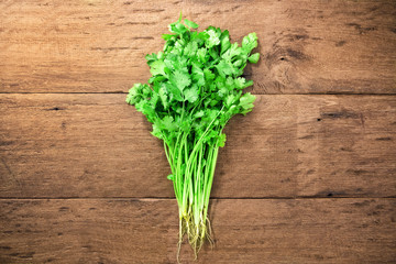 Fresh parsley on wood background