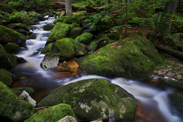 Jedlova - Firtree Stream, a stream in the Firtree Valley in Jizera Mountains with numerous small casdades and waterfalls, Czech Republic
