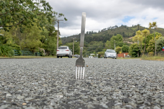 Fork In The Road 
