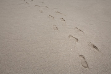 Fototapeta na wymiar some footprints on the beach