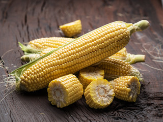 Ear of maize or corn on the dark wooden background.