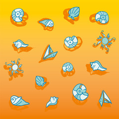 Marine elements on the sand