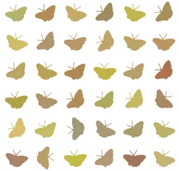 Foto op Canvas textuur of patroon van vlinders © emieldelange
