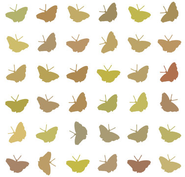textuur of patroon van vlinders