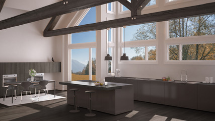 Modern kitchen in classic villa, loft, big panoramic windows on autumn meadow, white and gray minimalist interior design