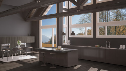 Fototapeta na wymiar Modern kitchen in classic villa, loft, big panoramic windows on autumn meadow, gray minimalist interior design