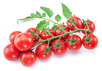 Branch of cherry tomato on the white background.