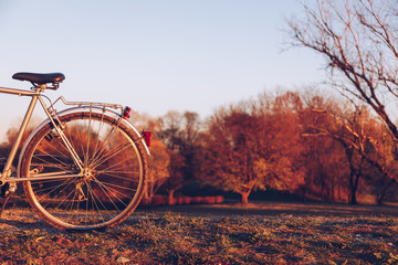 Fototapeta premium Detail wheel of bicycle on the green grass on blurred colorful autumn at sunset - Landscape background with fall forest and blue sky