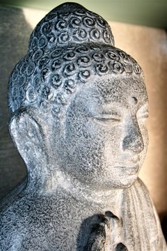 Buddha Head In Profile