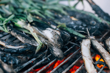Closeup shot of grill on fire with charcoal burning, spring onions calcots or cambray as traditional mexican or catalan dish for festivities or family picnic