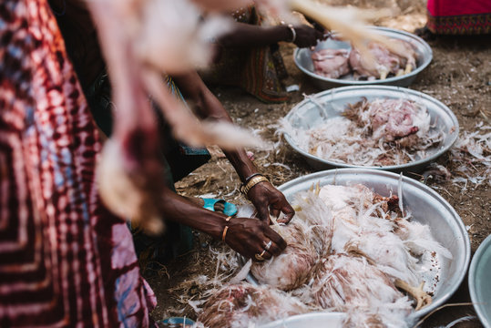 Crop women plucking birds