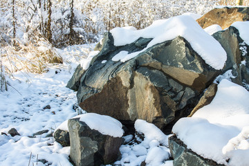 Stones covered with snow in a winter forest on a sunny day.