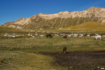 Campo Imperatore 1