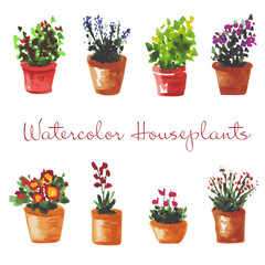 Set of watercolor houseplants in the pots. Hand drawn illustration.
