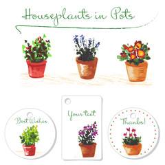 Set of watercolor houseplants in the pots. Small postcards. Hand drawn illustration.