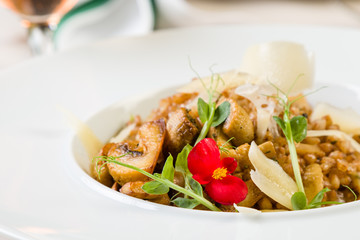 fresh barley risotto