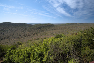 Fototapeta na wymiar Landscape of Addo Elephant National Park in August, South Africa