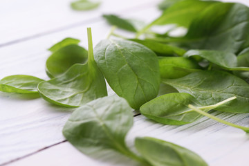 Green leaves of fresh spinach